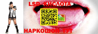 бошки Будённовск