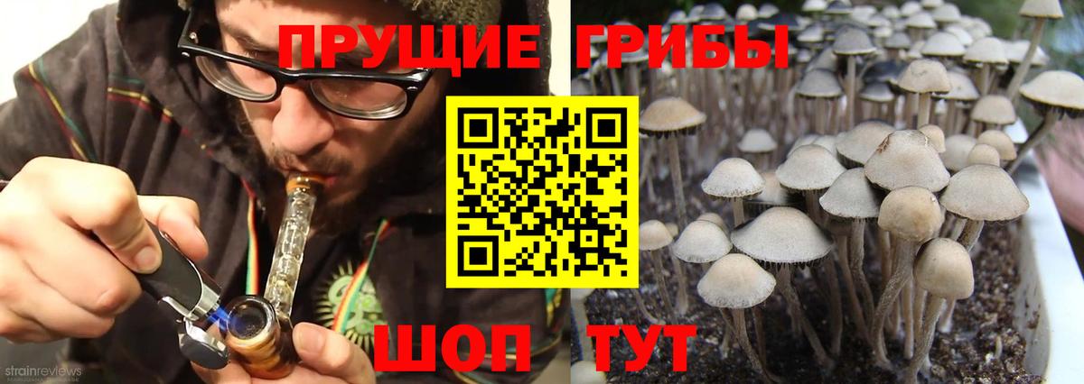 Галлюциногенные грибы Psilocybine cubensis  Галлюциногенные грибы Magic Shrooms  Вход с VPN  купить закладку  Севастополь 